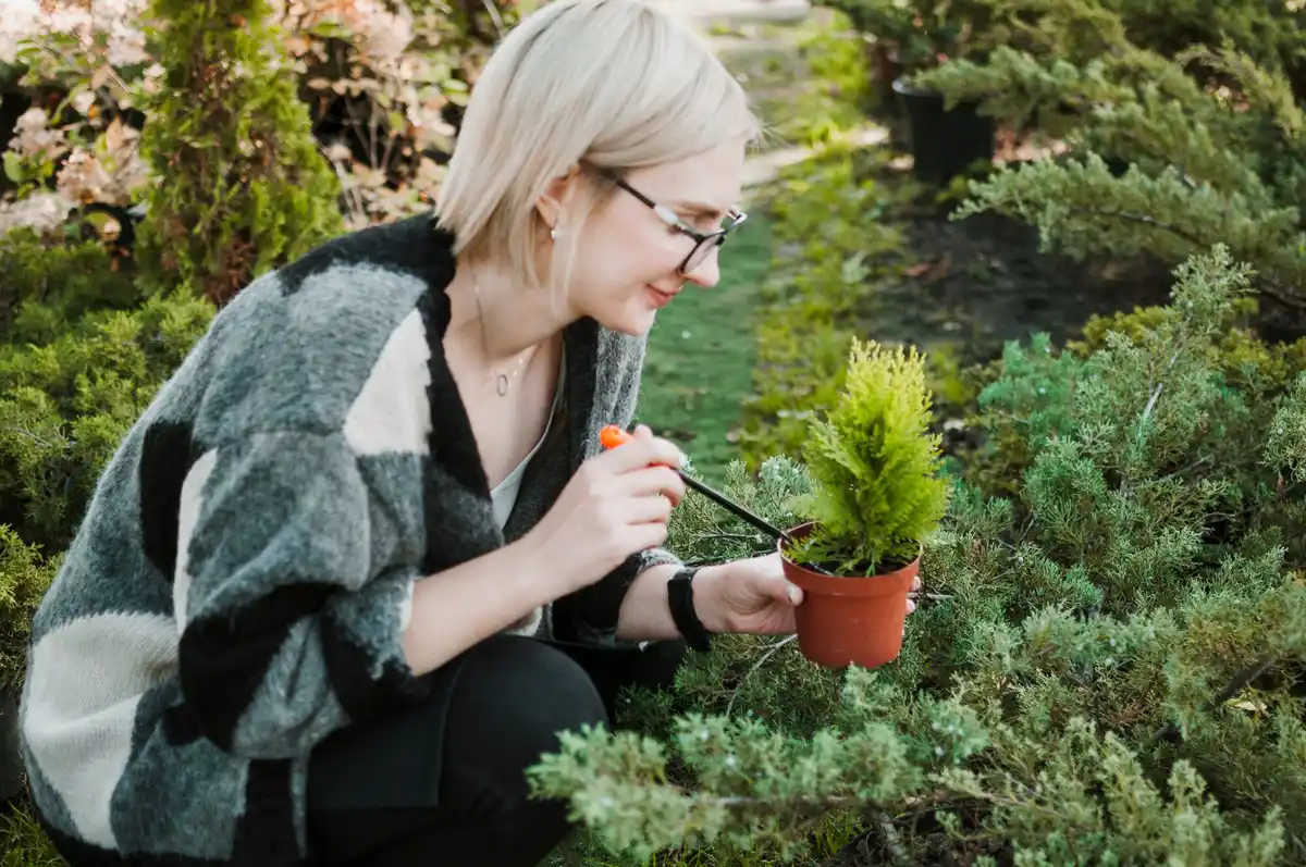 garden design mistakes outdoor plants planning