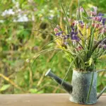 summer garden decoration ideas Czech Republic