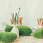peaceful garden plants and elements