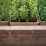 container garden urban balcony herbs vegetables