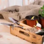 small container gardening urban balcony