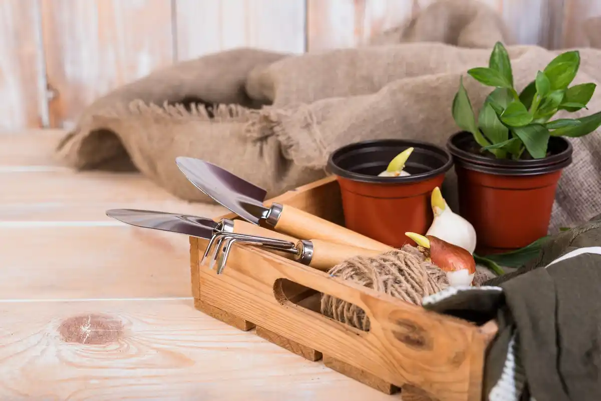 small container gardening urban balcony