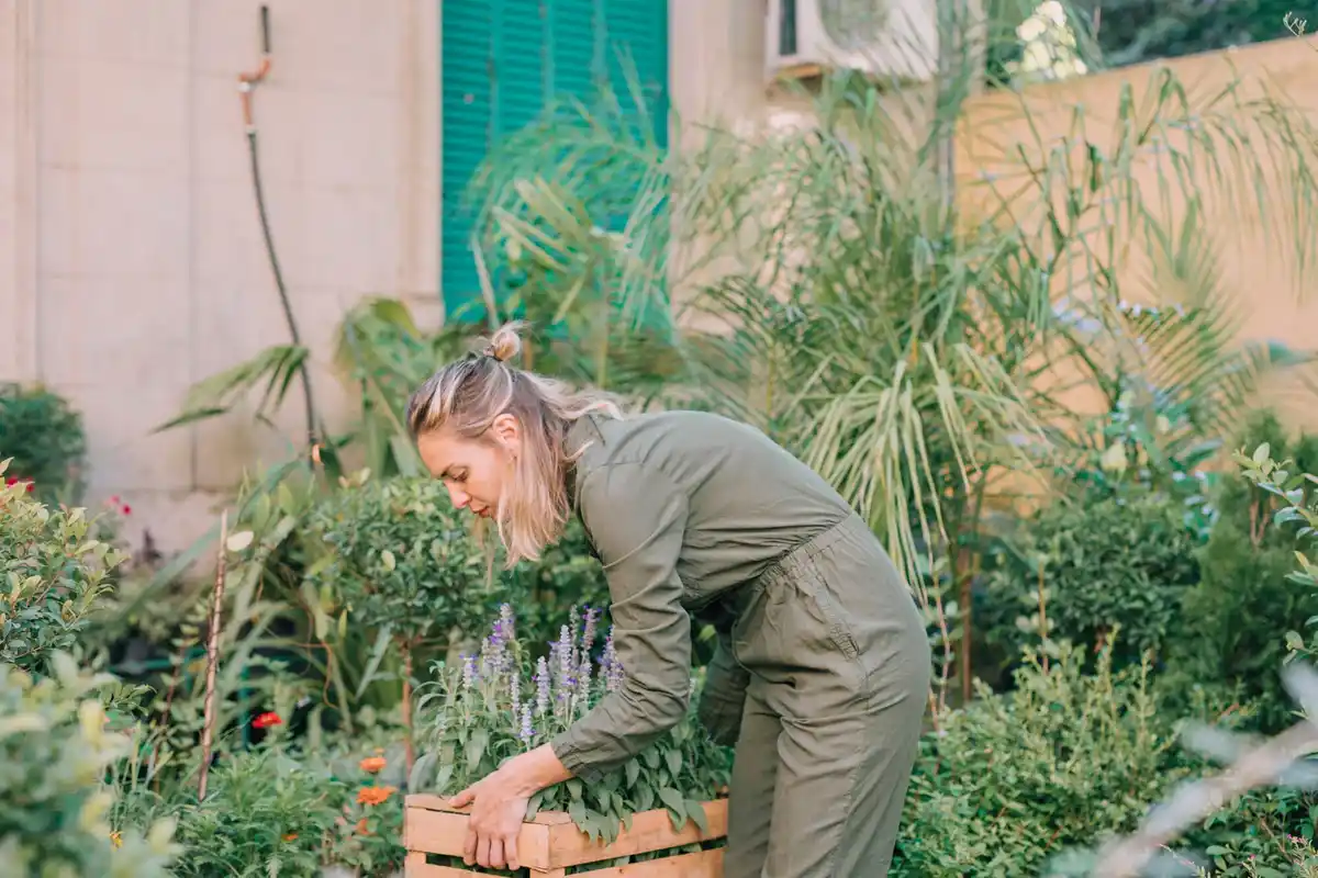 urban gardening small space vegetables