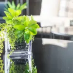 small balcony garden ideas vertical planting herbs