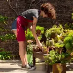 urban balcony gardening small space vegetables