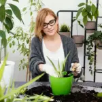small space gardening plants balcony urban gardening