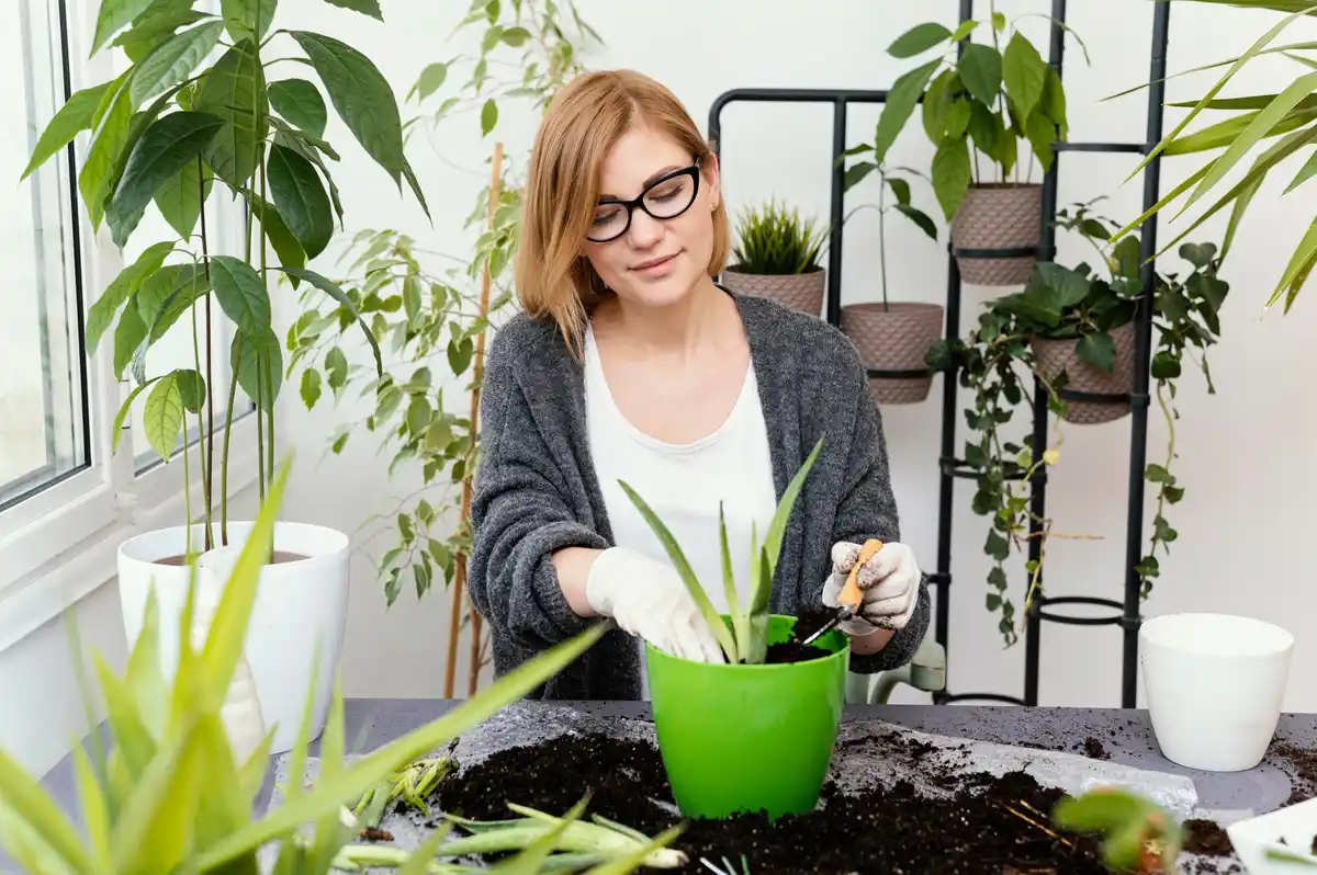 small space gardening plants balcony urban gardening