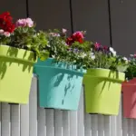small balcony container gardening vegetables herbs