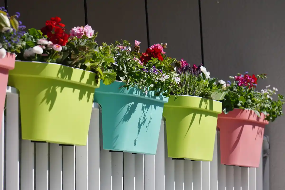 small balcony container gardening vegetables herbs