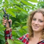 fruit tree care Czech Republic garden
