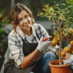 fruit tree gardening mistakes