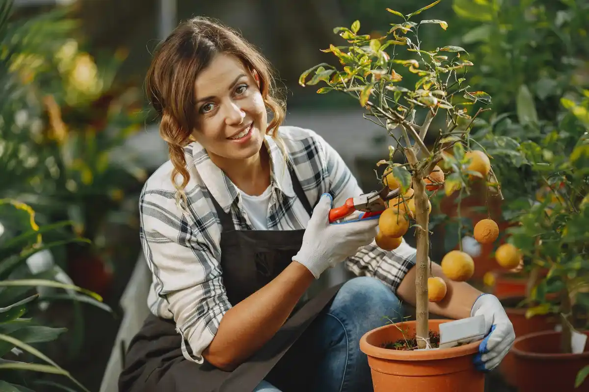 fruit tree gardening mistakes