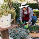 home garden fruit orchard planting tips