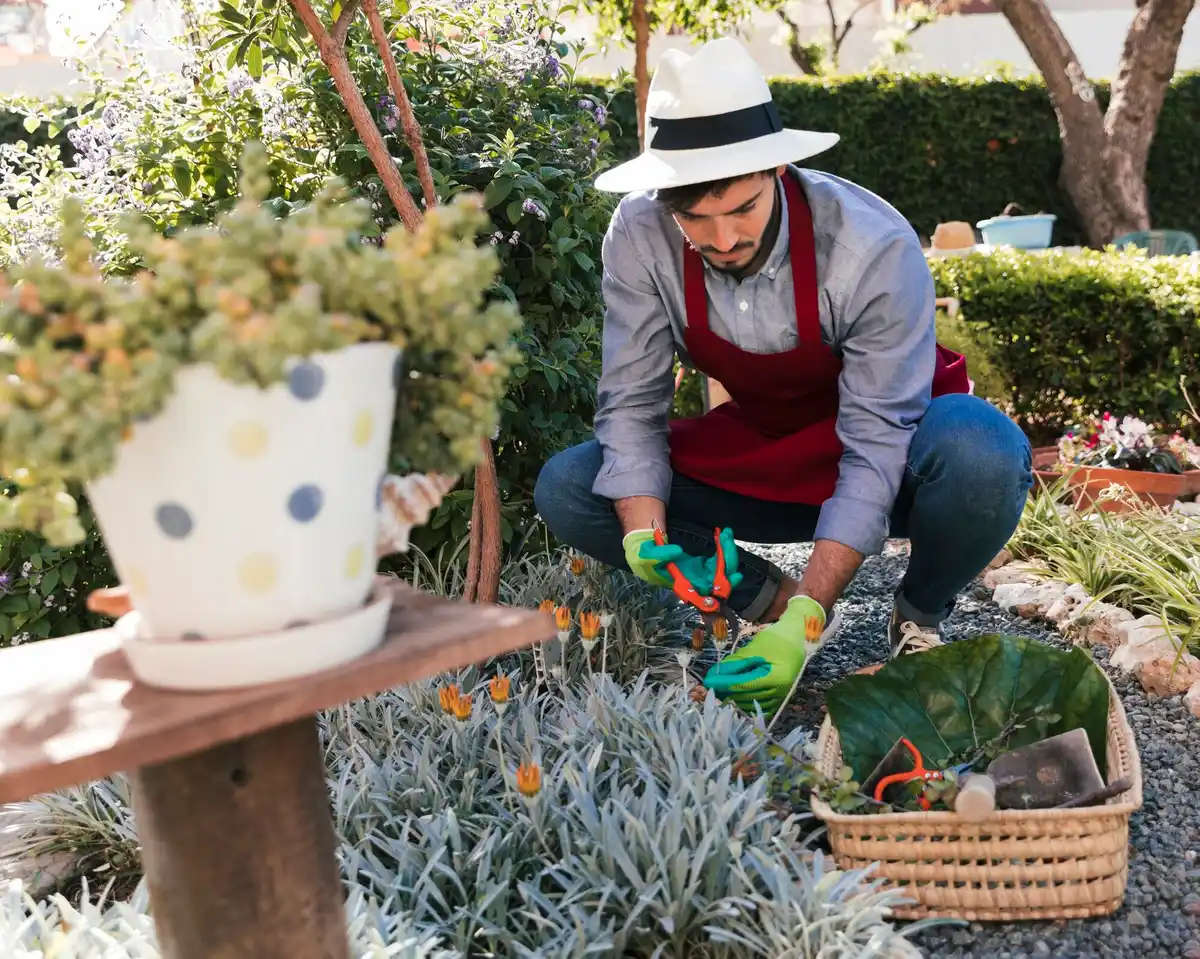 home garden fruit orchard planting tips