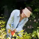 apple tree gardening mistakes