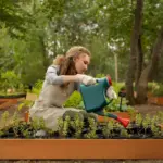 small fruit tree garden backyard