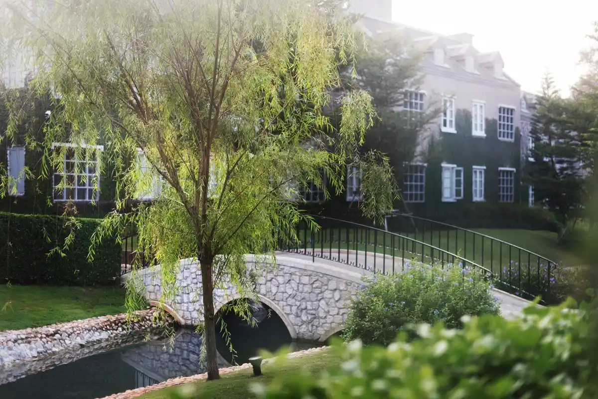 beautiful Czech garden backyard transformation
