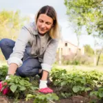 home garden fruit tips Czech Republic