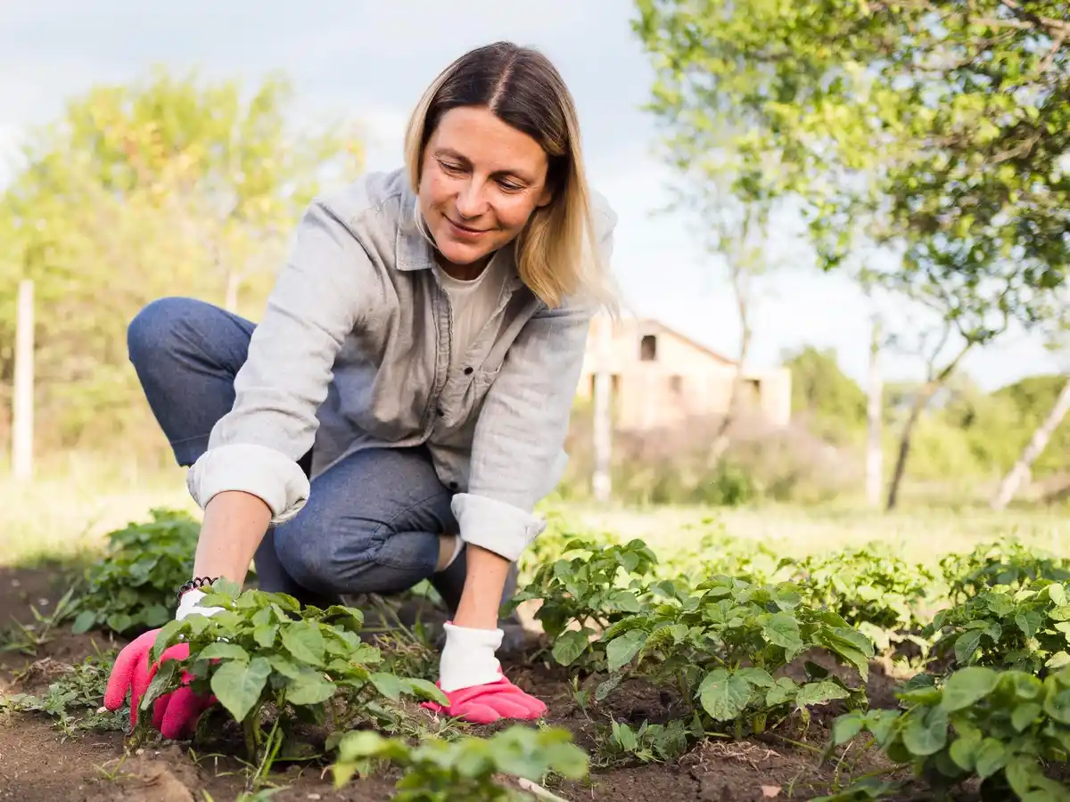 home garden fruit tips Czech Republic