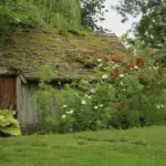 beautiful backyard garden Czech Republic