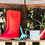 simple beginner garden ideas outdoor