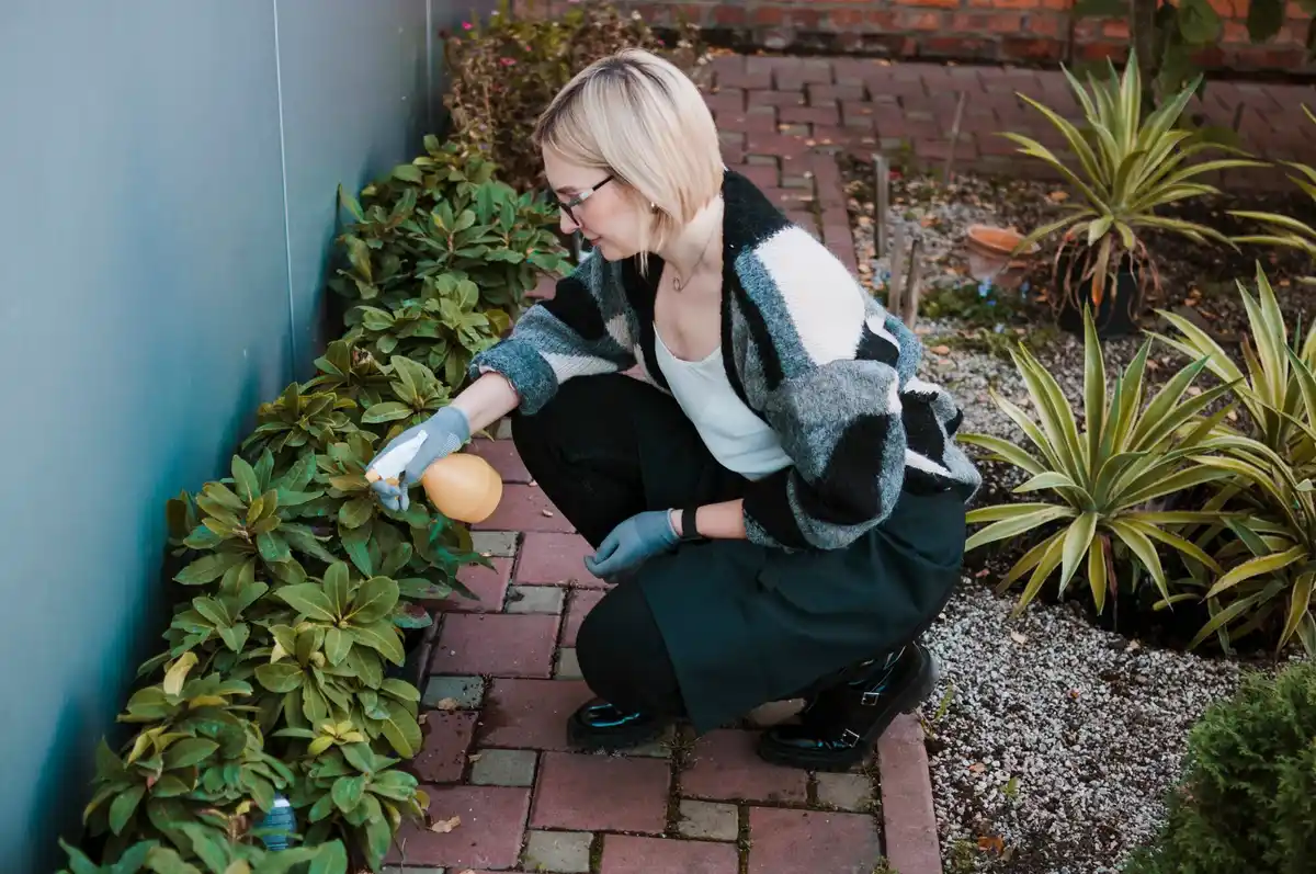 garden design mistakes outdoor Czech Republic