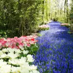 beautiful Czech garden landscaping