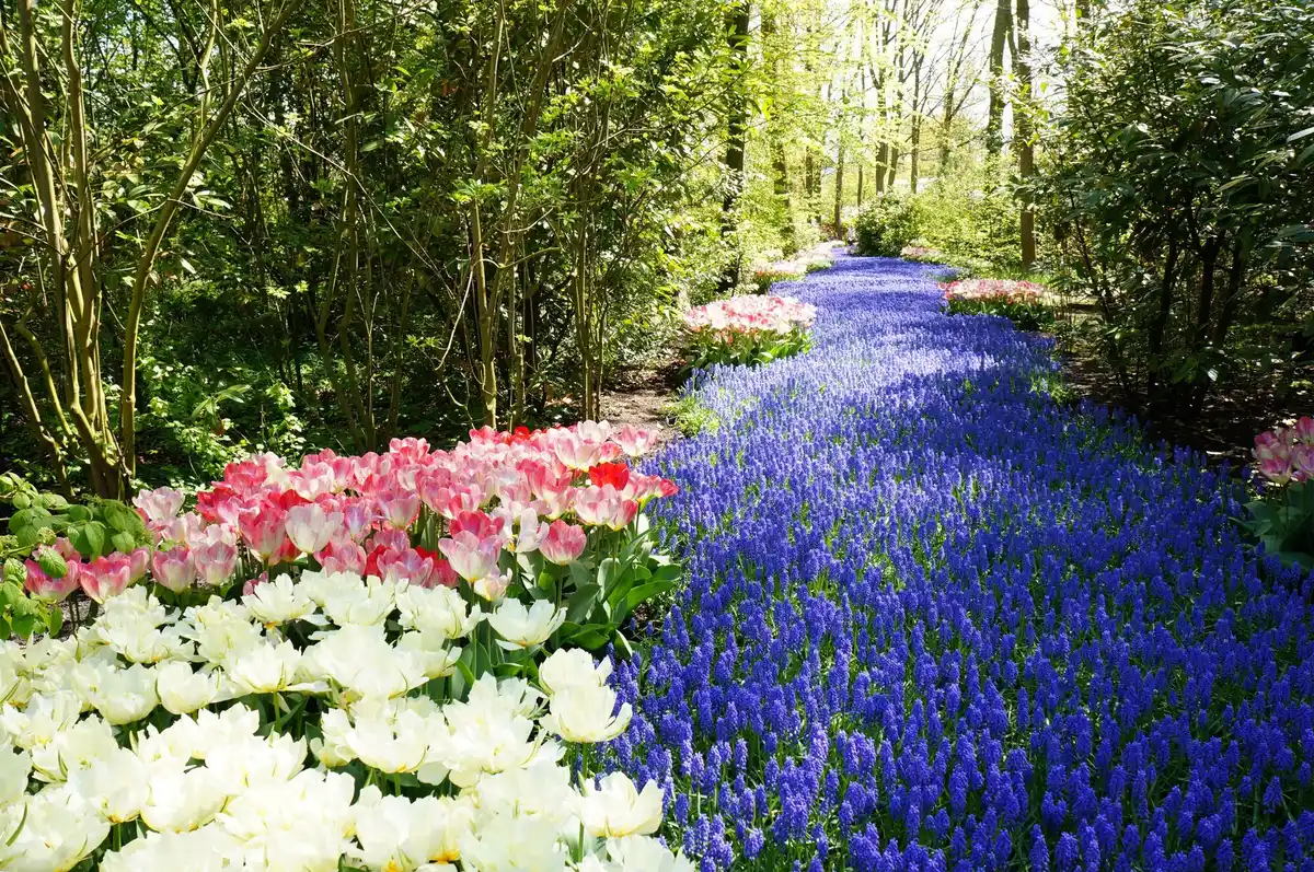 beautiful Czech garden landscaping