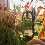 small budget garden Czech Republic backyard