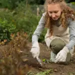 vegetable garden soil problem Europe