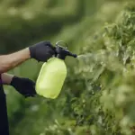 organic garden pest control natural methods