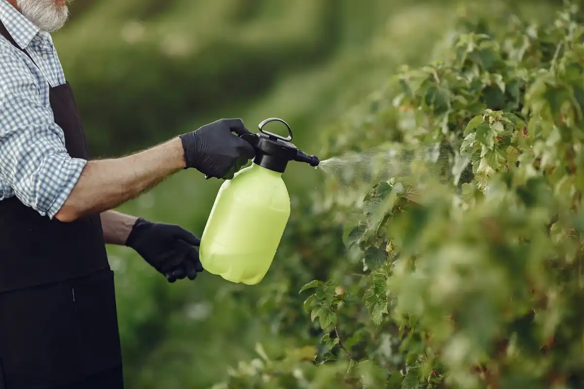 organic garden pest control natural methods