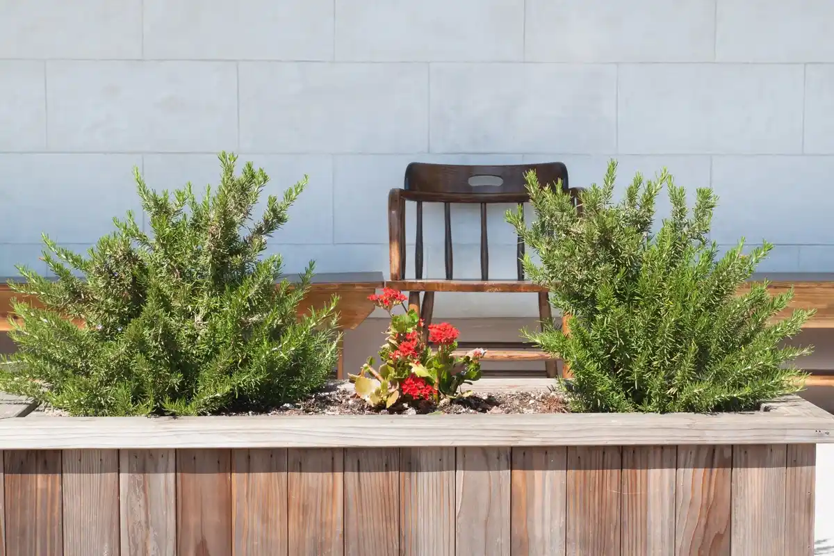 stylish simple garden bed design