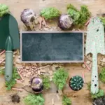 flower bed garden layout planning