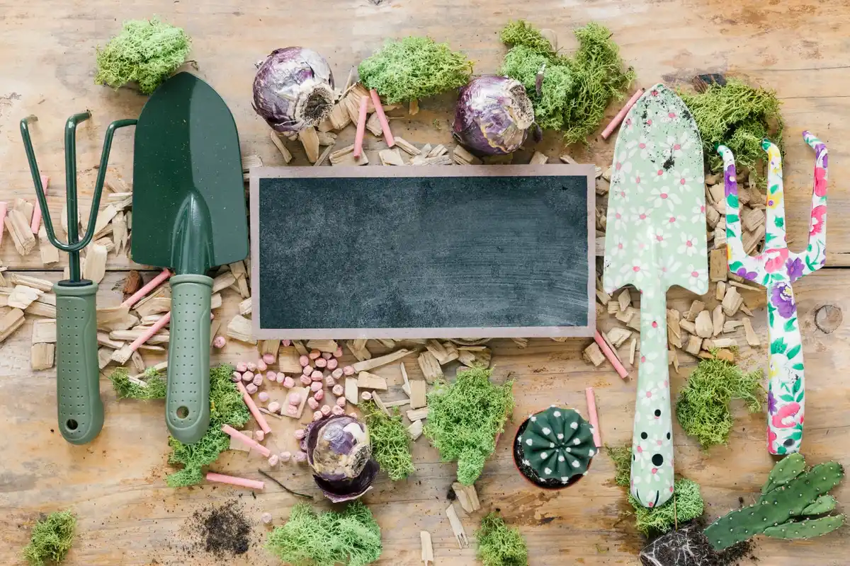 flower bed garden layout planning