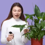 houseplant care common mistakes