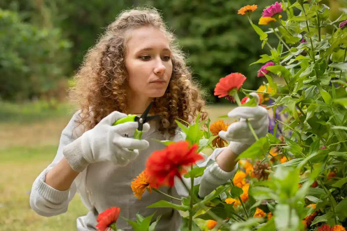 healthy garden tips disease prevention