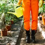 plant disease early detection garden