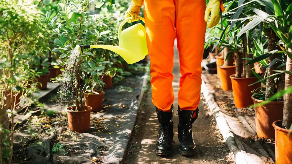 plant disease early detection garden