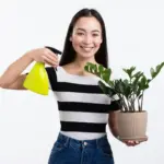 yellowing houseplant leaves care