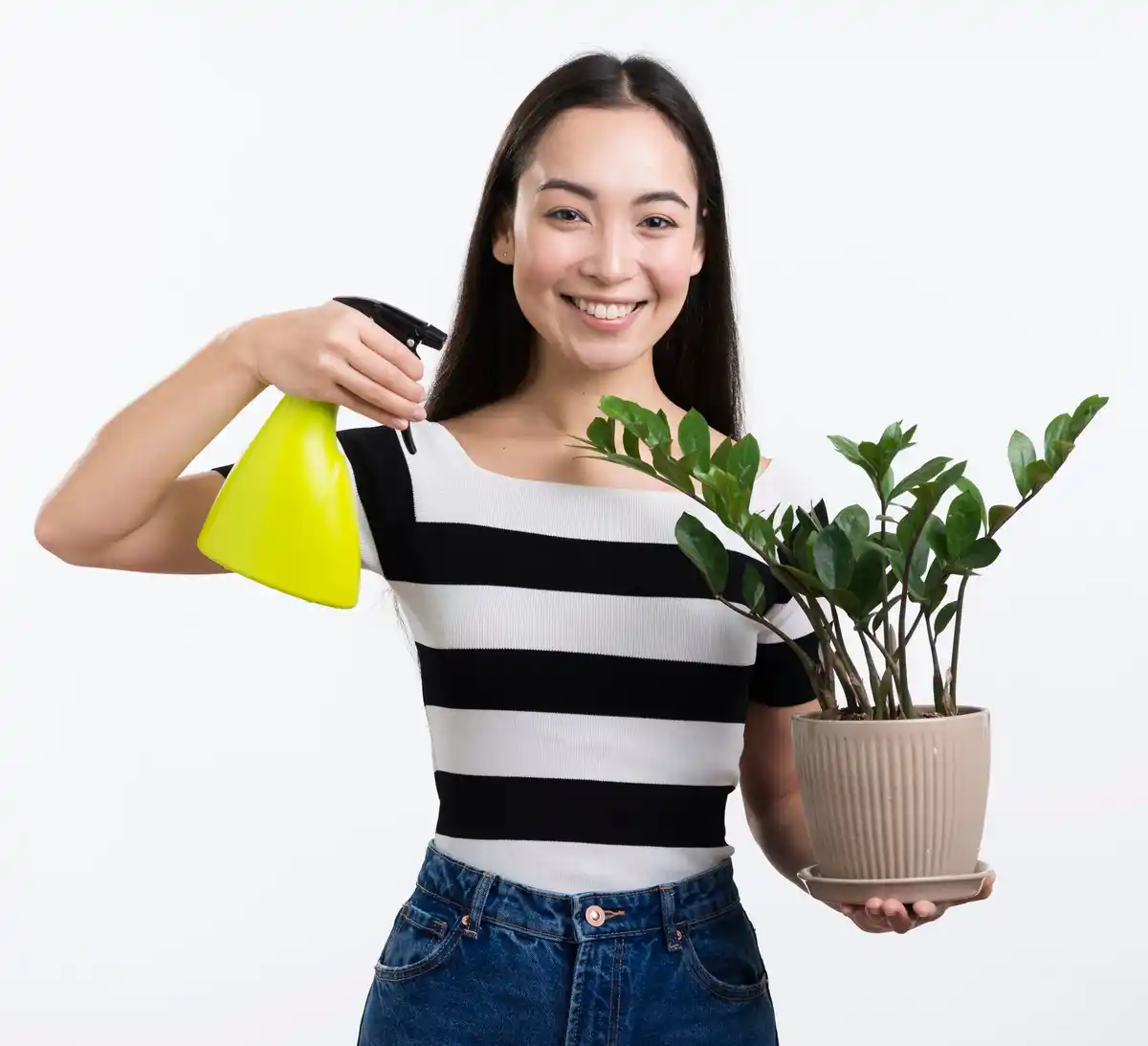 yellowing houseplant leaves care