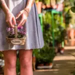 urban balcony vegetable gardening small pots