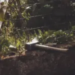 garden protection methods natural and mechanical barriers