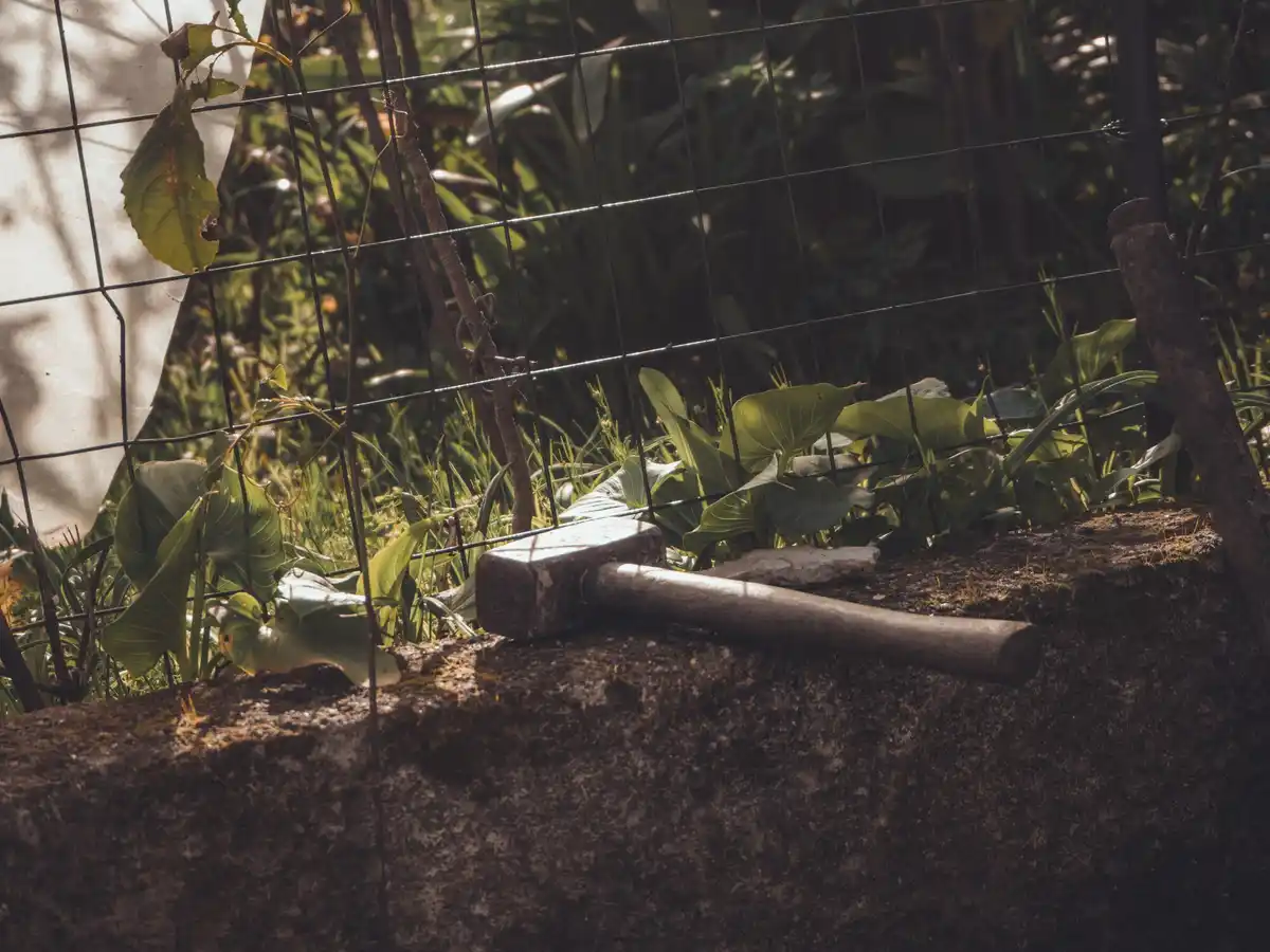 garden protection methods natural and mechanical barriers