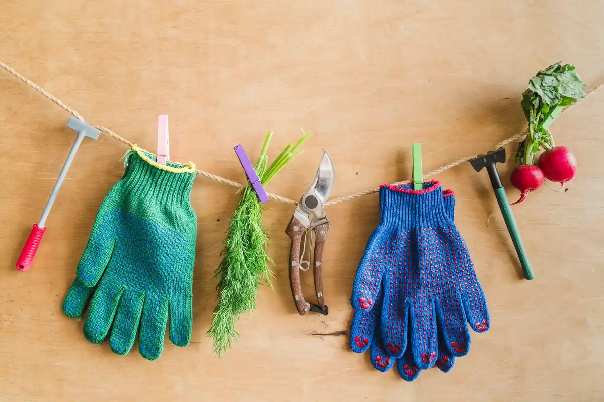 garden tools equipment backyard working