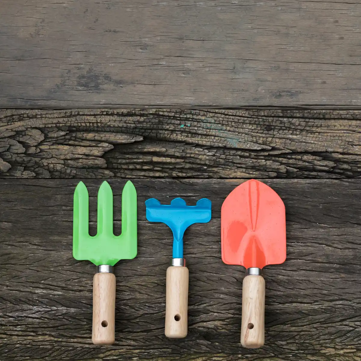 garden tools beginner set