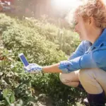 garden protection common mistakes pests harvest