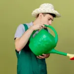 garden watering mistakes