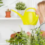 automatic drip irrigation system indoor plants