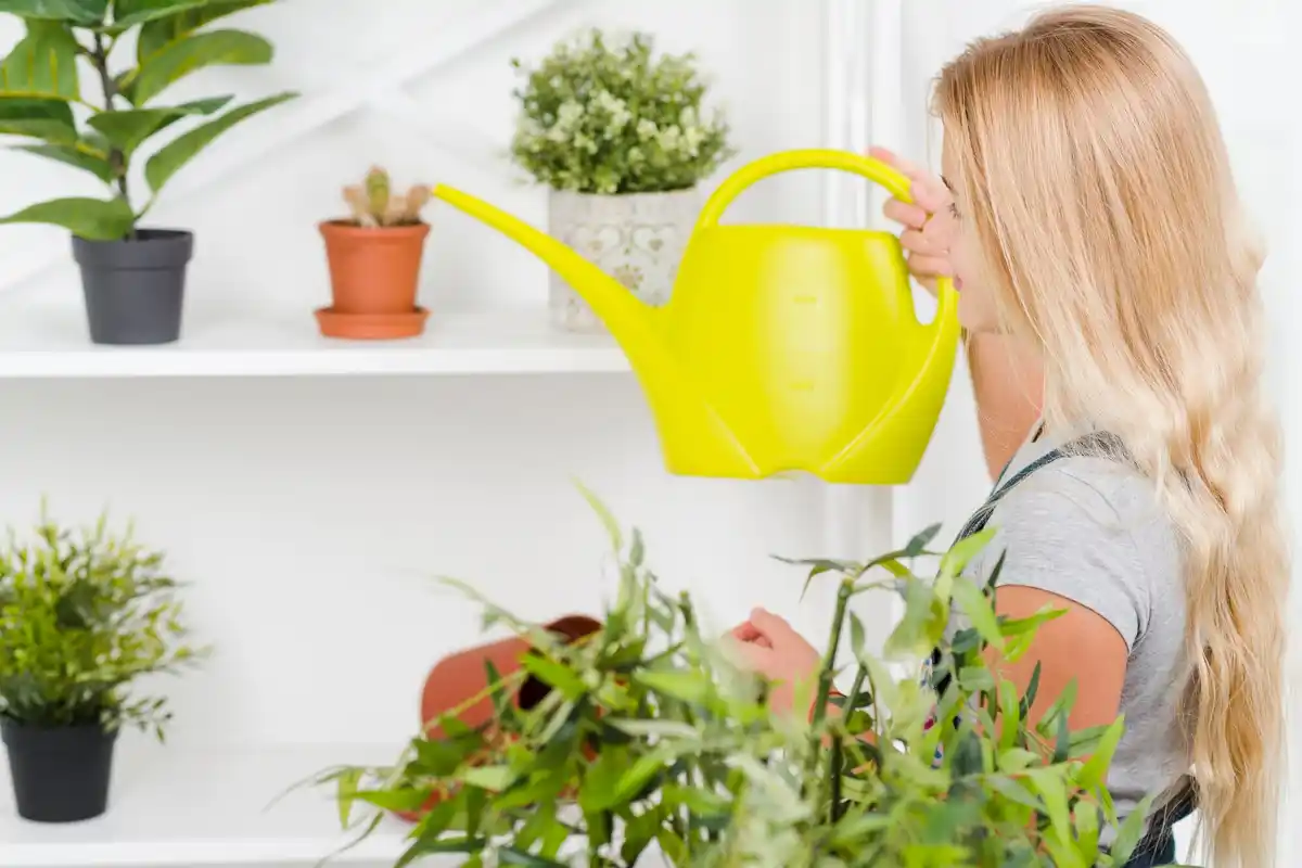 automatic drip irrigation system indoor plants